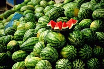 واکنش به یک ویدئوی وایرال شده / ادعای معاون دومای روسیه درباره هندوانههای ایرانی/ پاسخ کارشناس امنیت غذایی 1 واکنش به یک ویدئوی وایرال شده / ادعای معاون دومای روسیه درباره هندوانههای ایرانی/ پاسخ کارشناس امنیت غذایی