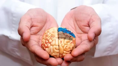 مغر سالم برای ۱۲۰ سال با این راه حل ساده | خوراکی ارزان قیمت با خواص گران بها برای مغز 7 d985d8bad8b1 d8b3d8a7d984d985 d8a8d8b1d8a7db8c dbb1dbb2dbb0 d8b3d8a7d984 d8a8d8a7 d8a7db8cd986 d8b1d8a7d987 d8add984 d8b3d8a7d8afd987 6571543543b38