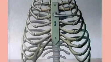 تست شخصیت شناسی | با انجام این تست خطر لو رفتن تمام رازهای درونی خودت و اطرافیانت هست 2 d8aad8b3d8aa d8b4d8aed8b5db8cd8aa d8b4d986d8a7d8b3db8c d8a8d8a7 d8a7d986d8acd8a7d985 d8a7db8cd986 d8aad8b3d8aa d8aed8b7d8b1 d984d988 659249c421e37