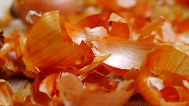 ۱۰ کاربرد پوست پیاز در خانه داری، آشپزی و سلامت که عمرا نمیدونستی 3 dbb1dbb0 daa9d8a7d8b1d8a8d8b1d8af d9bed988d8b3d8aa d9bedb8cd8a7d8b2 d8afd8b1 d8aed8a7d986d987 d8afd8a7d8b1db8cd88c d8a2d8b4d9bed8b2db8c 659d8e3ccb2fa