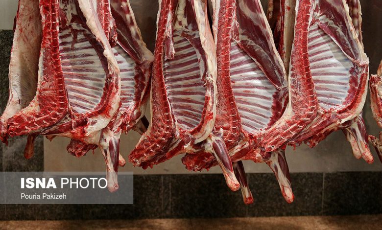 سینگال مثبت واردات گوشت گرم برای تنظیم بازار در دولت شهید رئیسی/ بازار به ثبات رسید