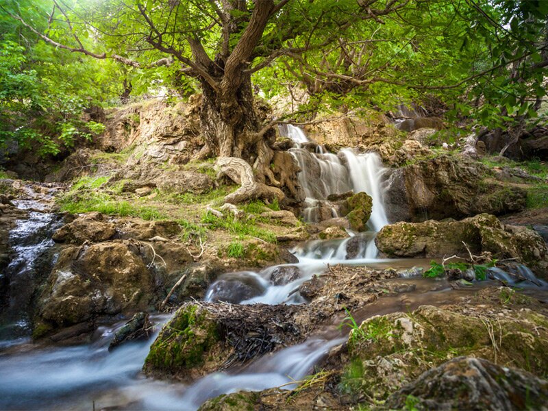 تابستان کجا بریم خنک باشد ؟ / ۱۰ منطقه خنک تهران برای سفر یک روزه در تابستان