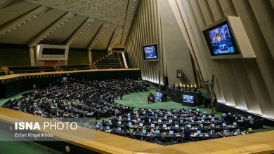 قدردانی نمایندگان مجلس از مدال‌آوران پارالمپیک پاریس