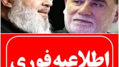 کشف پیکر شهید سردار نیلفروشان/ مراسم تشییع اطلاع‌رسانی می‌شود