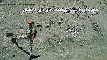 صخره ای با بیشترین تعداد جای پای دایناسور / قدمت ردپاها بیش از ۶۰ میلیون سال است (فیلم)