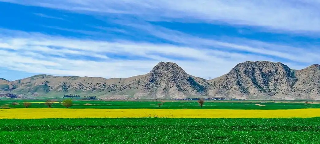 طبیعت بهاری را در گیلانغرب تجربه کنید