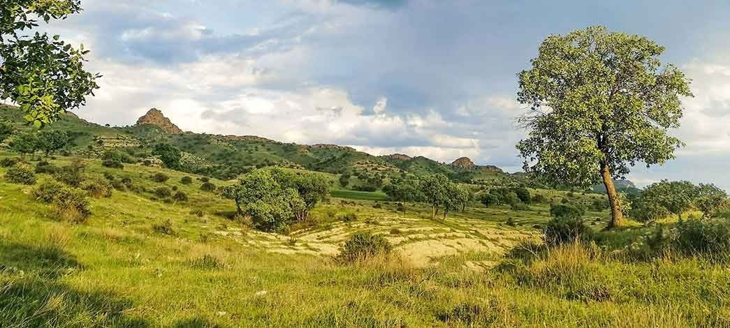 طبیعت بهاری را در گیلانغرب تجربه کنید