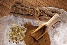 مصرف زیاد این گیاه دارویی عضلات را ضعیف می‌کند