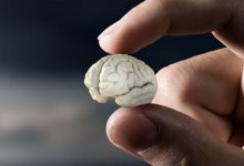 ضعیف شدن حافظه از علائم کمبود این ویتامین است