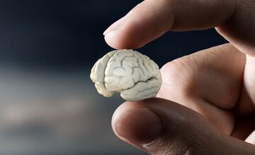 ضعیف شدن حافظه از علائم کمبود این ویتامین است