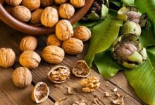 آجیلی که خطر ابتلا به این سرطان را کاهش می‌دهد