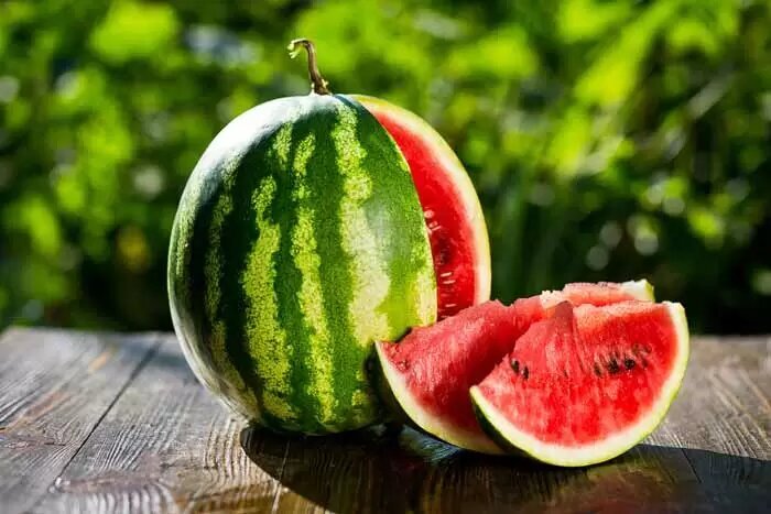 واکنش به یک ویدئوی وایرال شده/ اظهارات معاون دومای روسیه درباره هندوانه‌های ایرانی/ پاسخ کارشناس امنیت غذایی