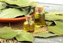 خواص درمانی و شگفت انگیز برگ یک گیاه برای سلامتی