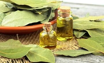 خواص درمانی و شگفت انگیز برگ یک گیاه