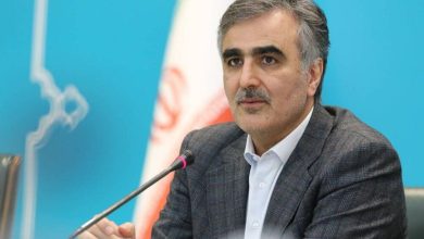 جزئیات پروژه‌های ارزی بانک مرکزی/ رمزارز شخصی بابک زنجانی را هنوز نپذیرفته‌ایم