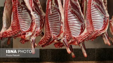 دولت و حذف ارز ترجیحی گوشت قرمز؛ نگاه بودجه محور یا امنیت غذایی؟