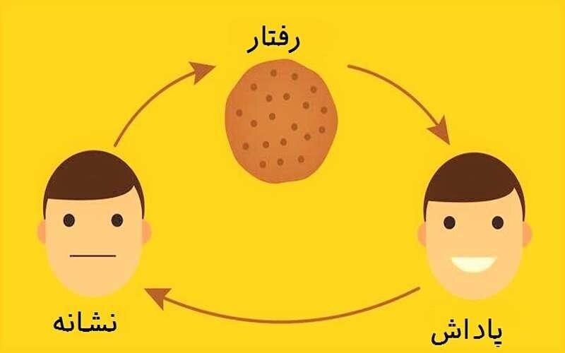 چگونه در زندگی عادت‌های مثبت ایجاد کنیم