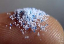 پلاستیک چطور وارد غذا و بدن ما می‌شود؟