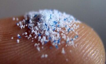 پلاستیک چطور وارد غذا و بدن ما می‌شود؟