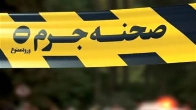 قتل مسافر آلمان در تهران/ جزئیات
