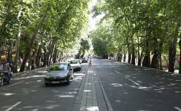تخریب ریشه‌های درختان صد ساله خیابان ولیعصر؛ «آقای زاکانی تا کی می‌خواهید سکوت کنید؟»