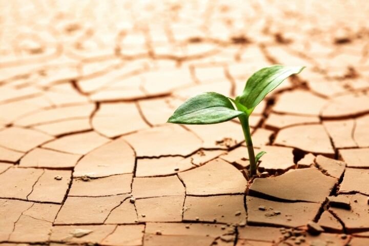 تهران تا «روز صفر آب» فاصله‌ای ندارد/ ۹۰ درصد منابع آبی پایتخت در بخش خانگی صرف می‌شود/  قطعا یکی از راهکارها تعطیل کردن استخرها است