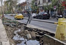 کندن برخی درختان خیابان فلسطین از ریشه، علت چیست؟