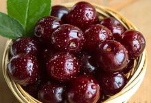 فواید شگفت انگیز یک میوه ترش برای سلامت مغز و قلب