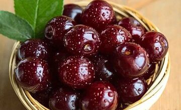 فواید شگفت انگیز یک میوه ترش برای سلامت مغز و قلب