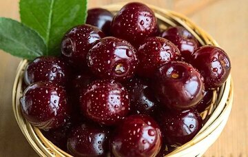 فواید شگفت انگیز یک میوه ترش برای سلامت مغز و قلب 1 فواید شگفت انگیز یک میوه ترش برای سلامت مغز و قلب