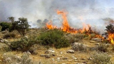 آتش‌سوزی گسترده در سنندج/ جزئیات