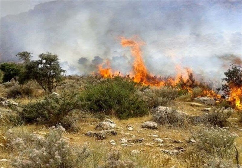 آتش‌سوزی گسترده در سنندج/ جزئیات