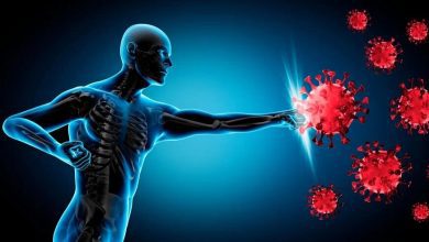 تقویت سیستم ایمنی بدن با این ماده غذایی 1 تقویت سیستم ایمنی بدن با این ماده غذایی