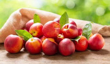 این میوه برای درمان یبوست و تقویت کبد معجزه میکند 7 d8a7db8cd986 d985db8cd988d987 d8a8d8b1d8a7db8c d8afd8b1d985d8a7d986 db8cd8a8d988d8b3d8aa d988 d8aad982d988db8cd8aa daa9d8a8d8af d985d8b9 68b9a8799797d