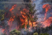 تورهای مسافرتی باعث آتش‌سوزی جنگل‌های الیت شدند؟