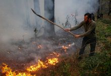 اعلام آخرین وضعیت جنگل‌های الیت پس از هشت روز آتش‌سوزی