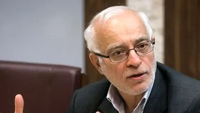 بعید است حزب الله راضی به خلع سلاح شود / مسئولیت شبه نظامیان منطقه با ایران نیست