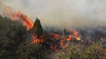 خاموش کردن آتش جنگل هیرکانی با طعم تلخ تحریم / با ما از شیرینی مدیریت نگو / یک پرسش ساده: چرا آن‌ها دارند ما نداریم؟ (فیلم)