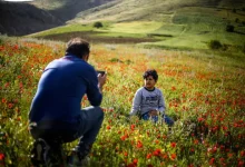 سفر یک‌روزه؛ نسخه‌ای سریع برای آرامش در زندگی شهری