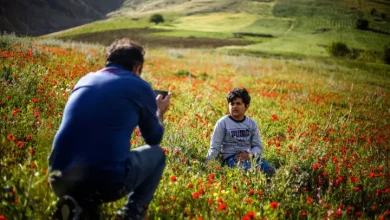 سفر یک‌روزه؛ نسخه‌ای سریع برای آرامش در زندگی شهری