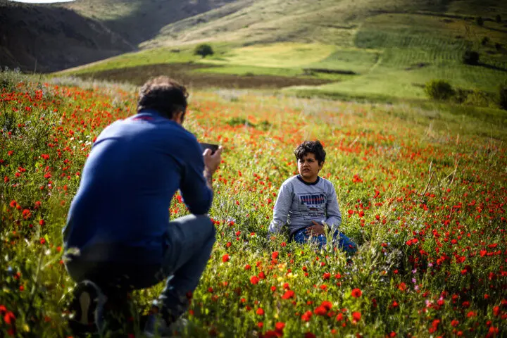 سفر یکروزه؛ نسخهای سریع برای آرامش در زندگی شهری