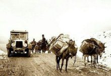 سال ۱۳۰۵؛ اتوموبیل همسر سرکنسول انگلستان (عکس)