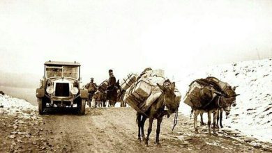 سال ۱۳۰۵؛ اتوموبیل همسر سرکنسول انگلستان (عکس)