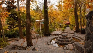 هفت مقصد جذاب برای تهران‌گردی پاییزی؛ از باغ‌های تاریخی تا طبیعت رنگارنگ