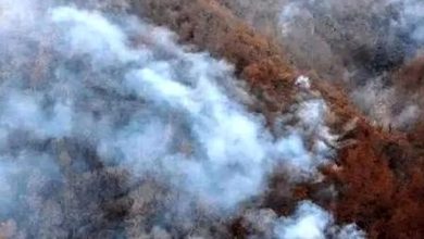 مسیرهای منتهی به جنگل‌های کلاردشت مسدود شد