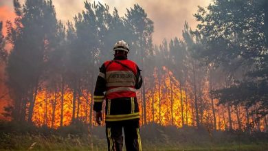 اعلام آمادگی این کشورها برای خاموش کردن آتش جنگل‌های شمال ایران