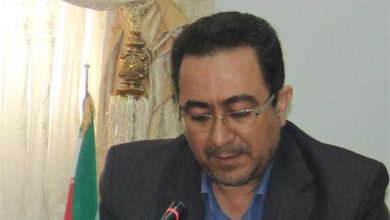 محسن شریفی حکم گرفت/ مدیرکل دبیرخانه شورای فرهنگ عمومی مشخص شد