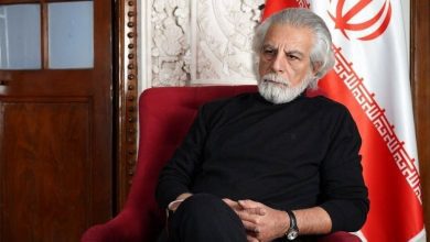 منوچهر شاهسواری رئیس صندوق اعتباری هنر شد