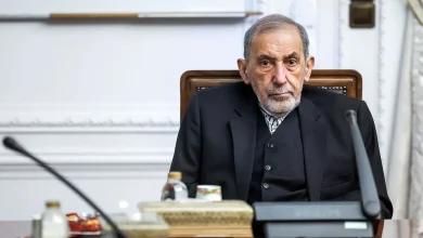 واکنش لبنانی‌ها به اظهارات علی اکبر ولایتی