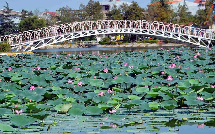 بلیط اتوبوس لنگرود به تهران با علی بابا